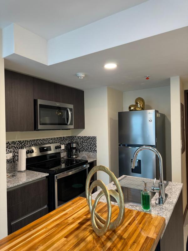 Penthouse in San Jose Costa Rica - image 10