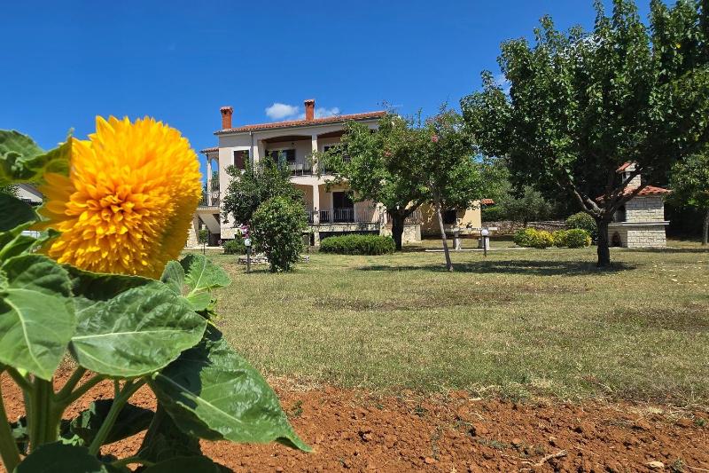 Apartments with parking space Buici Porec - 24819 - image 6