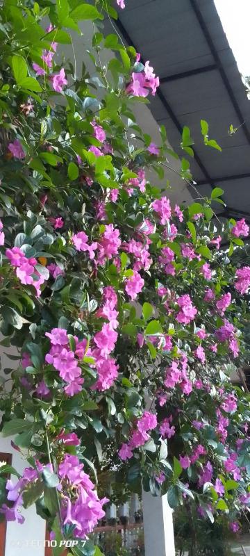 Charming View Homestay - image 18