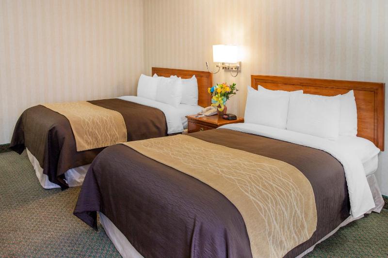 Queen Room with Two Queen Beds - Non-Smoking image 3