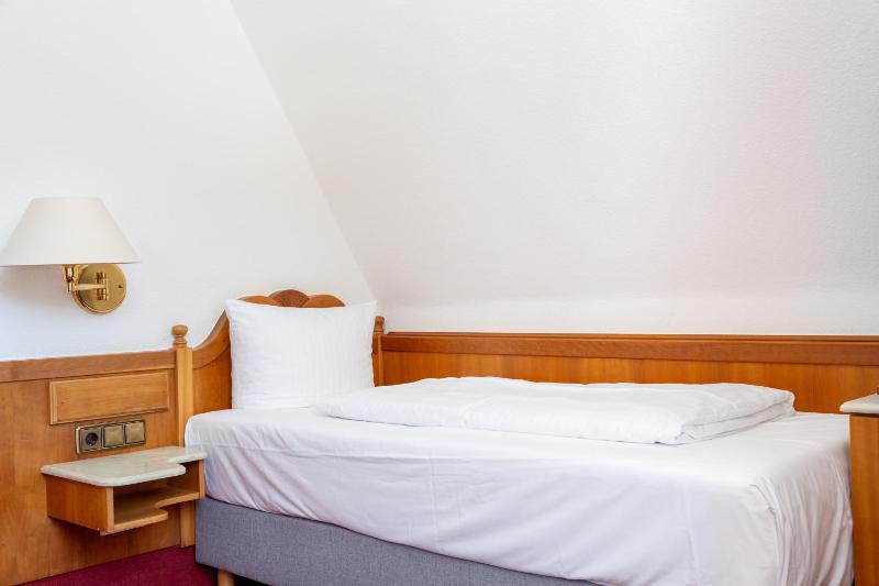 Hotel zum Ritter St Georg - Oldest Residential Building in Heidelberg since 1592 - image 30