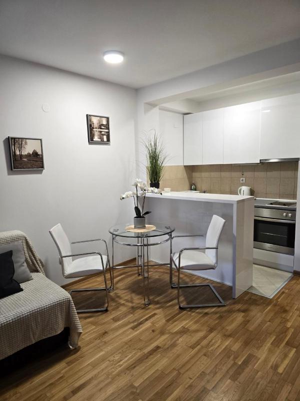 Slavia center apartment - image 4