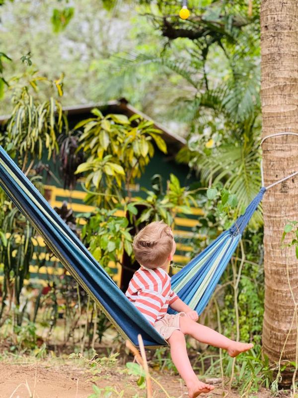 Hakuna Matata Hostel - image 1