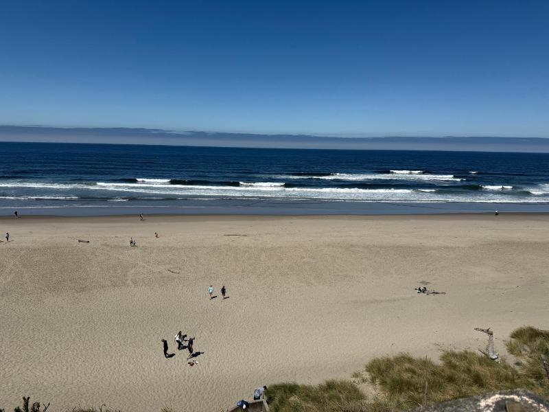 Seahorse Oceanfront Lodge - image 12