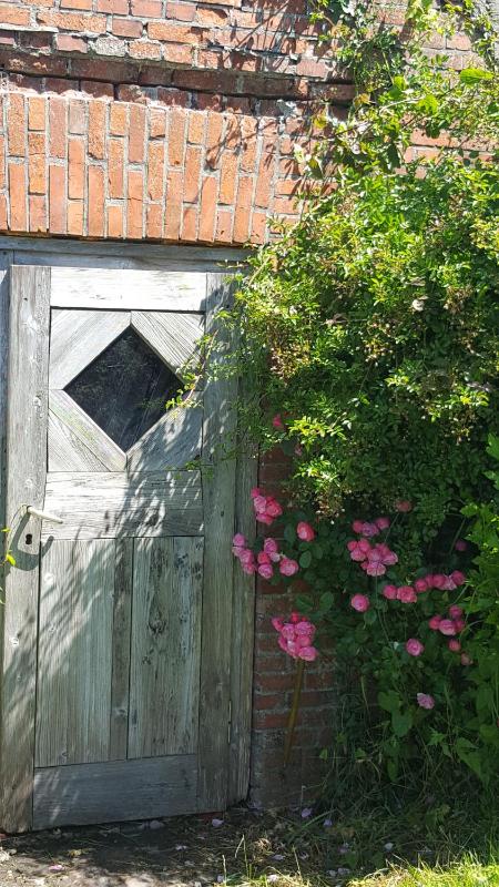 Ferienwohnungen Zollhaus Utlandshoern - image 12