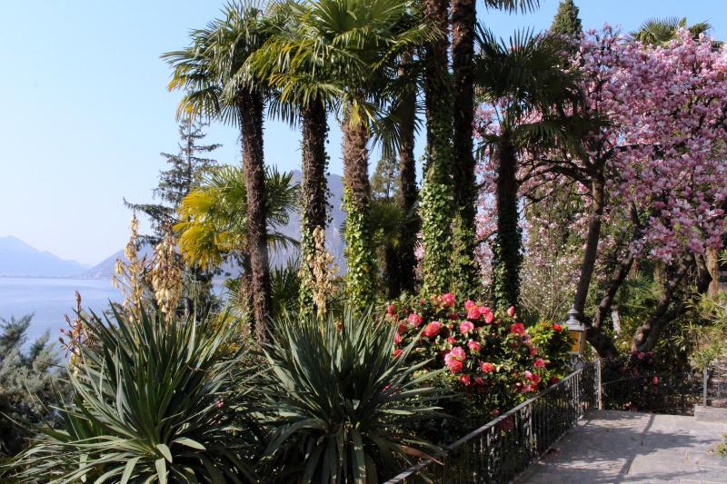 Barony romantic villa - image 14