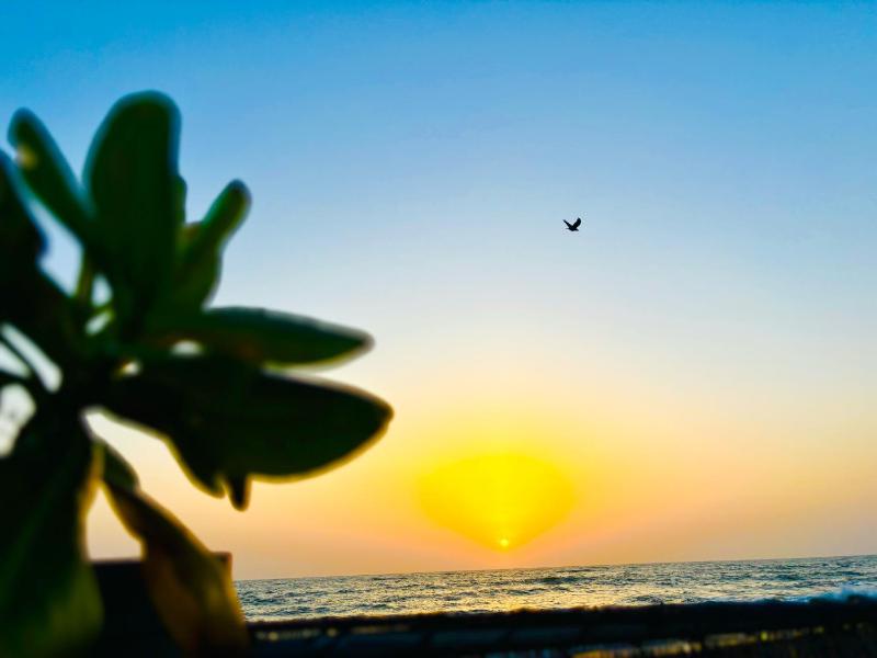 Sea Breeze Stay - image 12