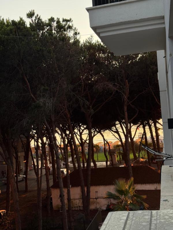 Seaside Apartment - image 7