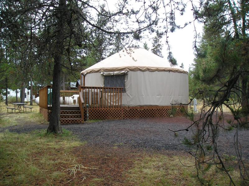 Studio Yurt image 2