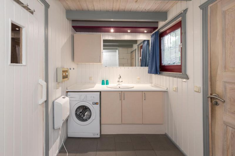 Wildgans 43 - image 4