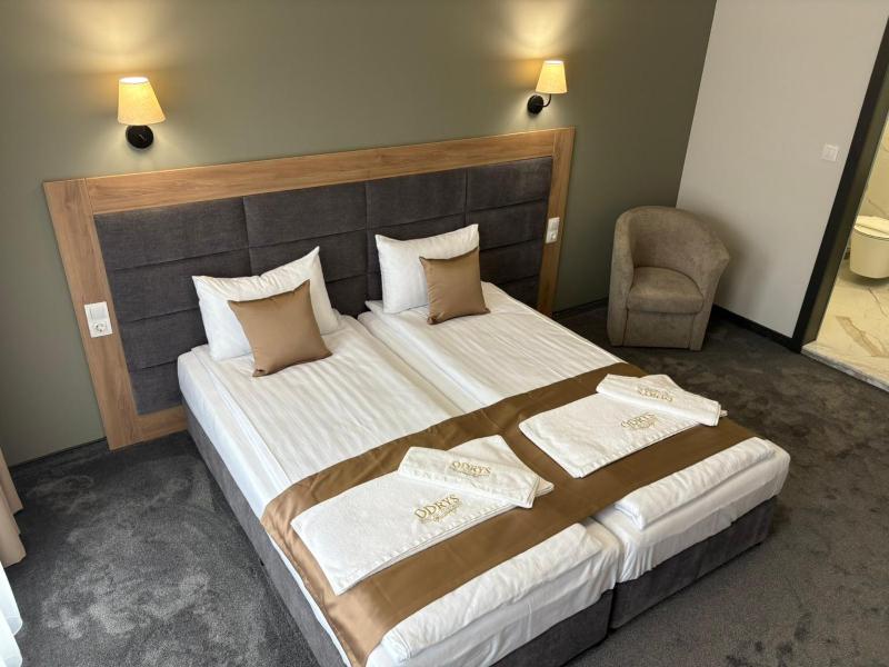 Hotel Odrys - image 16