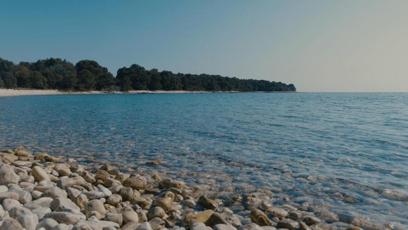 Villa Kalista Istriana for 10 people with private pool & sea view - image 5