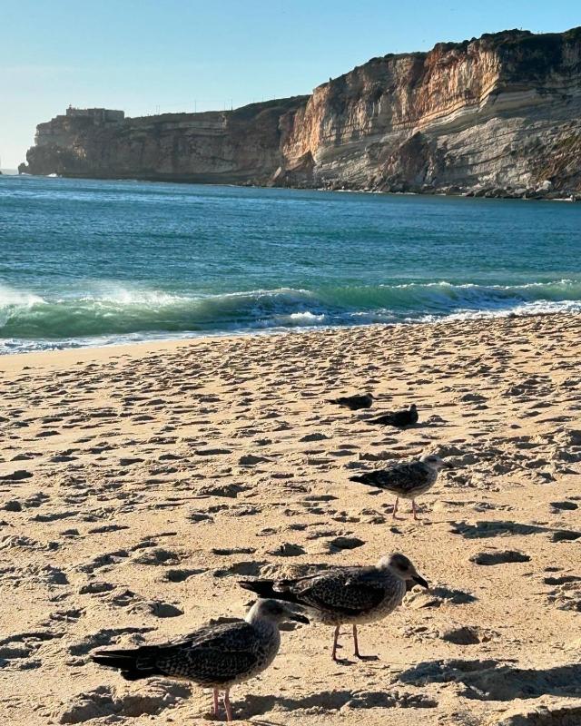 Nazaré Sol - image 14