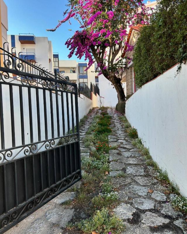 Nazaré Sol - image 41
