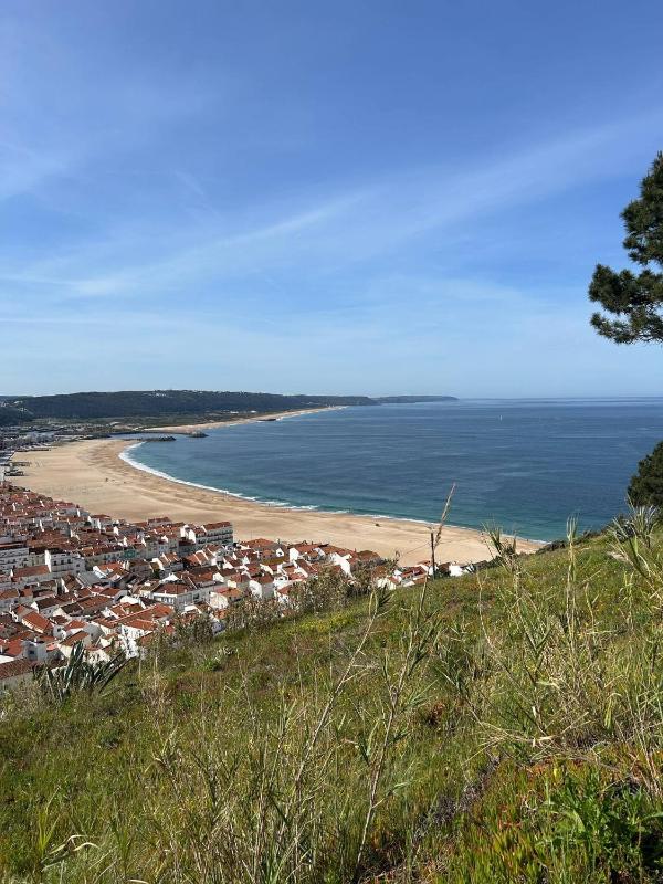 Nazaré Sol - image 26