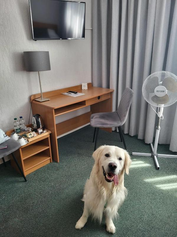 Hotel Gromada Poznań Stadion - image 41
