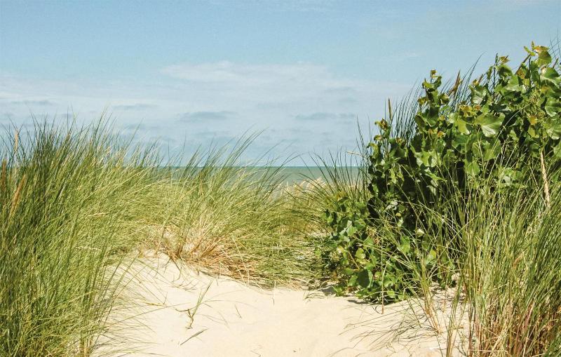 Nice Home In Koksijde With Wifi - image 7