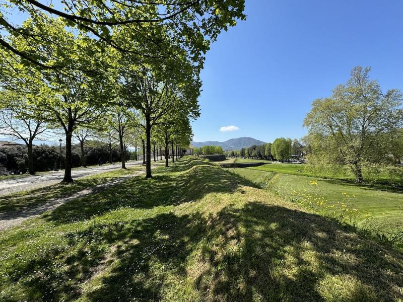 Il Cervo in Città - image 39