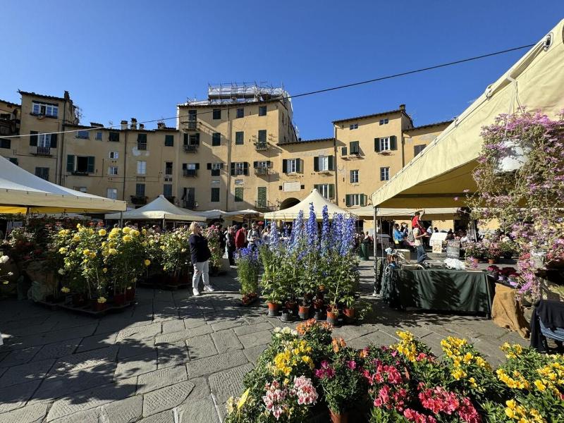 Il Cervo in Città - image 19