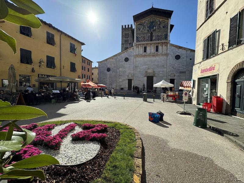 Il Cervo in Città - image 15