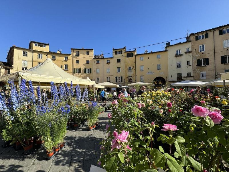 Il Cervo in Città - image 30