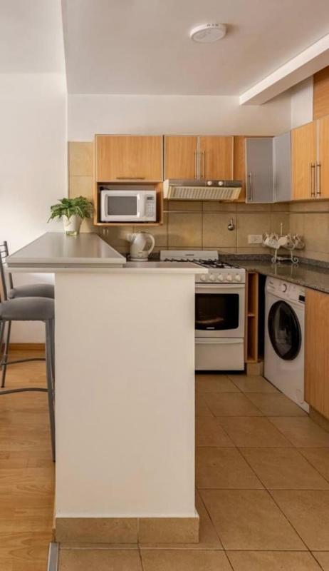 Beautiful Apartment Recoleta - image 5