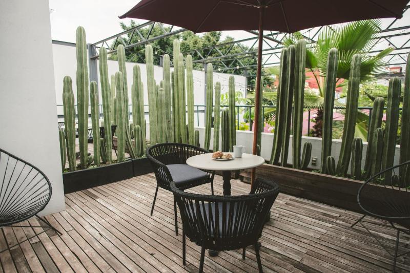 Stylish Colonial Stay in Roma Norte W Rooftop 8BR - image 4