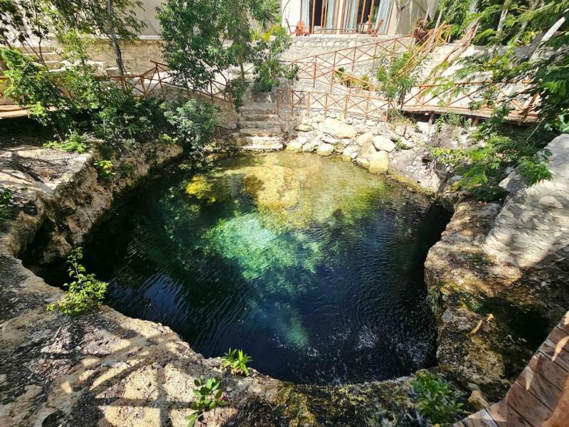 Amazing Luxury Studio with Cenote- - image 29