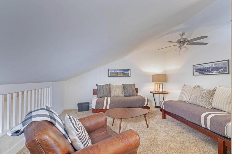 Telluride Lodge Unit 323 - image 2