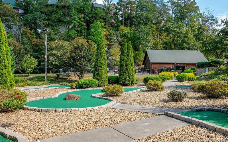 Enchanted Forest - Seasonal Mountain Views Community Pool & Hot Tub - image 12