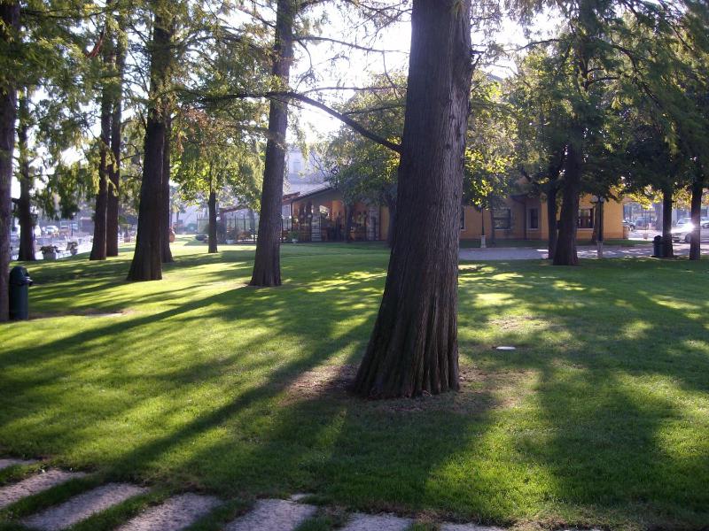 Hotel Lugana Parco Al Lago - image 18