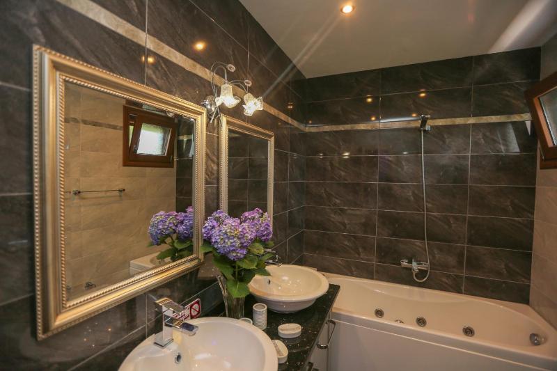 Mini Suite image 3