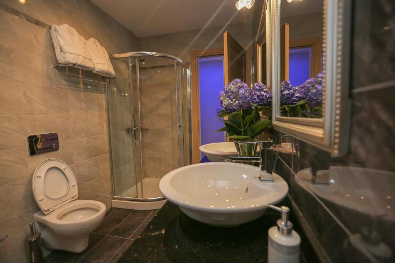 Mini Suite image 2