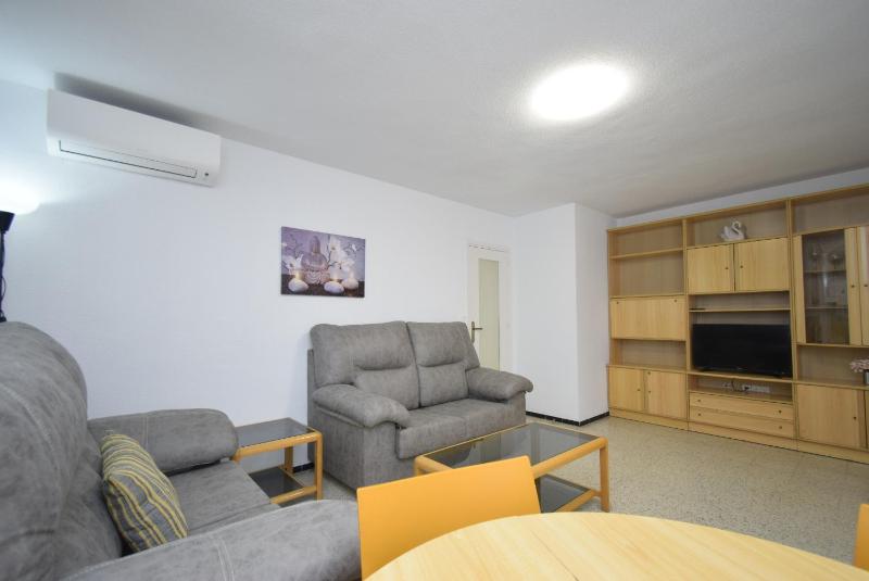 FLECHA - Fincas Arena - image 23