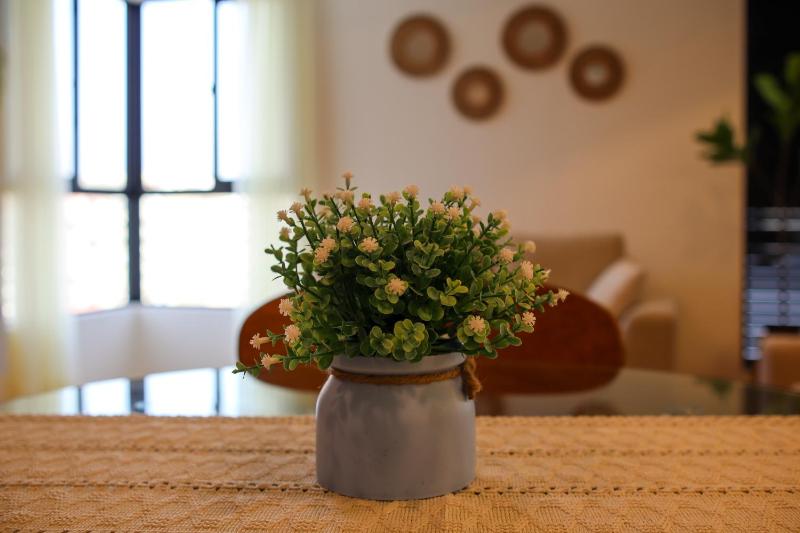 Brand new apartment in Olivar of San Felipe - image 7