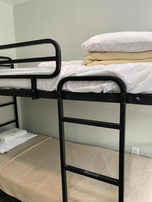 Mayflower Hospitality Hostel - image 1