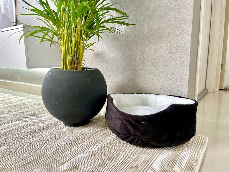 Relax with a views massage chairs and coffee station - image 50