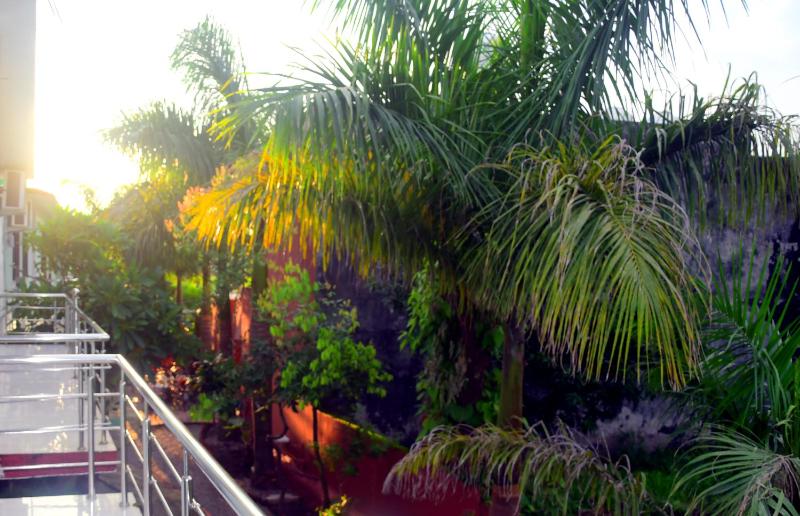 Tiger Eye Resort - image 8