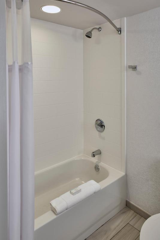Hilton Garden Inn Detroit/Downtown - image 24