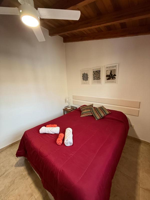 Departamento cerca del centro - Carhue - image 8