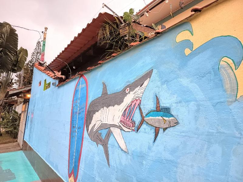 Ubatuba Wild Surf House - image 27
