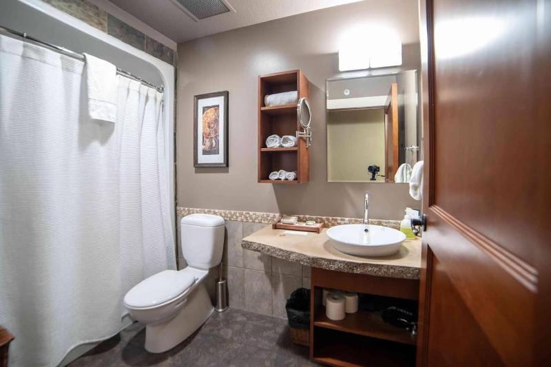 Luxury Penthouse - 3 King Suites - UG Parking - image 11