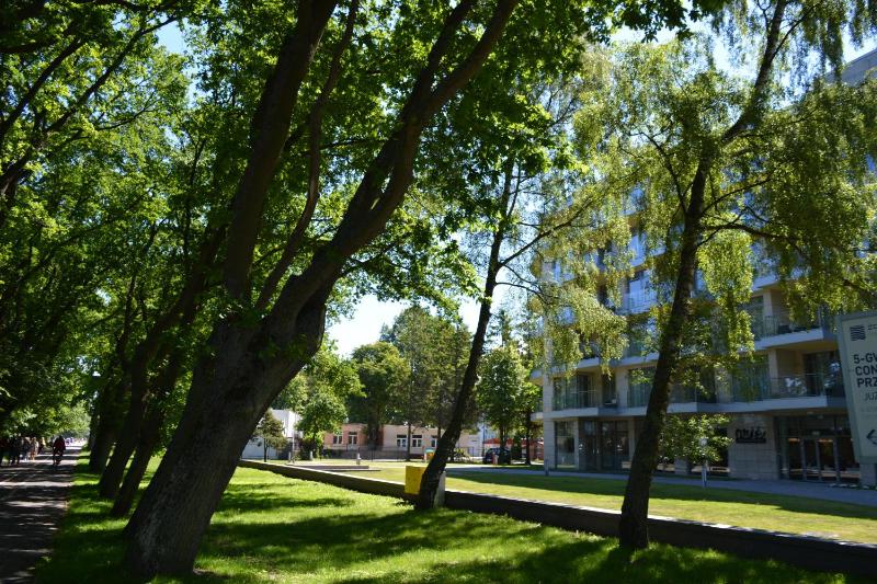 Apartamenty PROMENADA - Diune - image 12