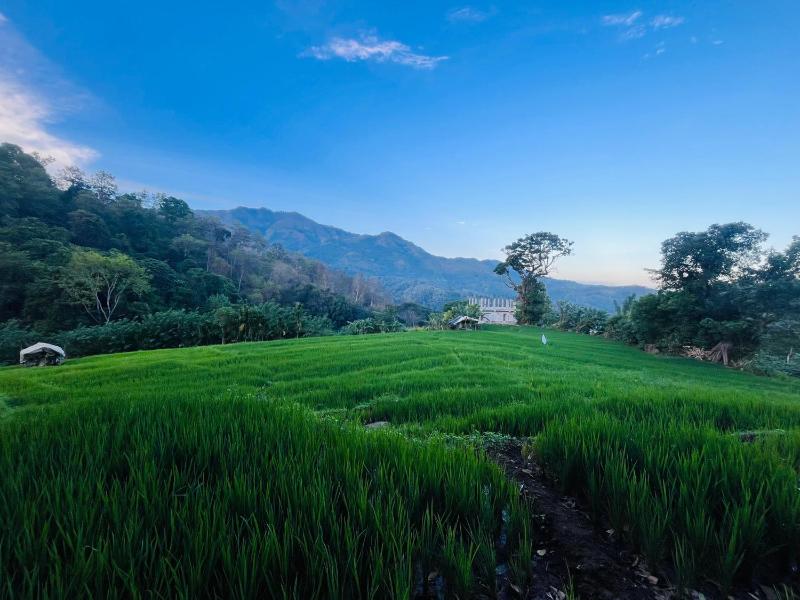 Wow Field Homestay - image 17