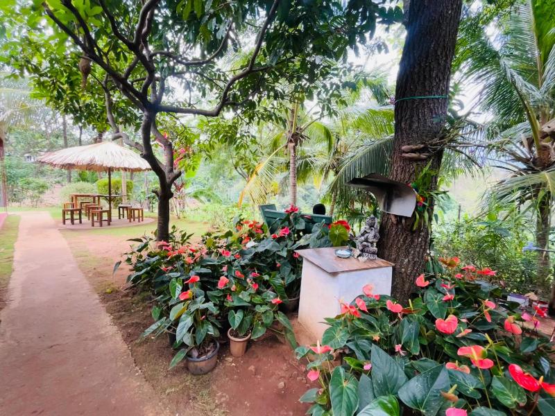 Wow Field Homestay - image 25