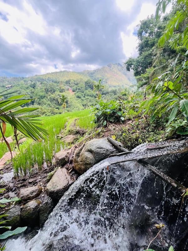 Wow Field Homestay - image 11