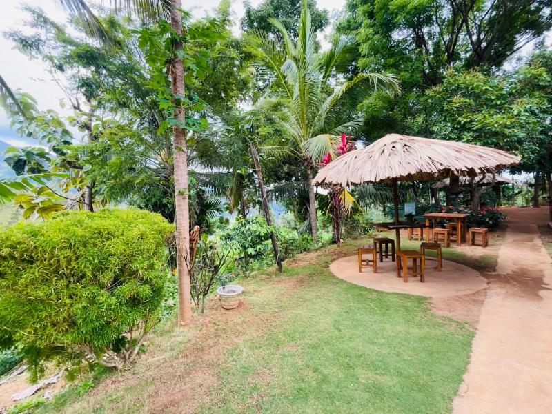 Wow Field Homestay - image 21