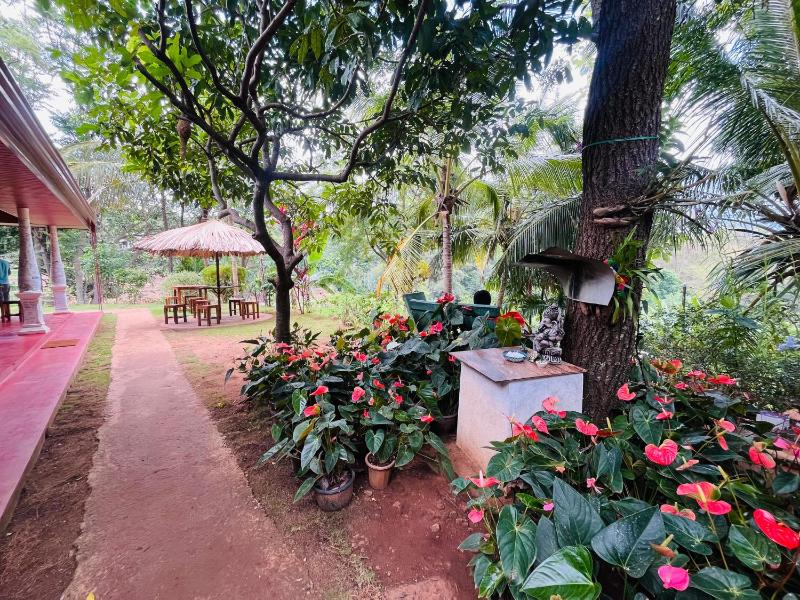 Wow Field Homestay - image 15
