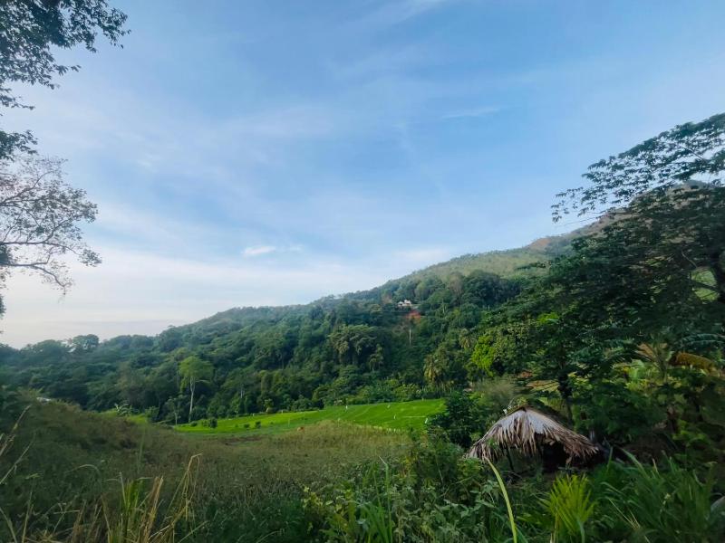 Wow Field Homestay - image 9