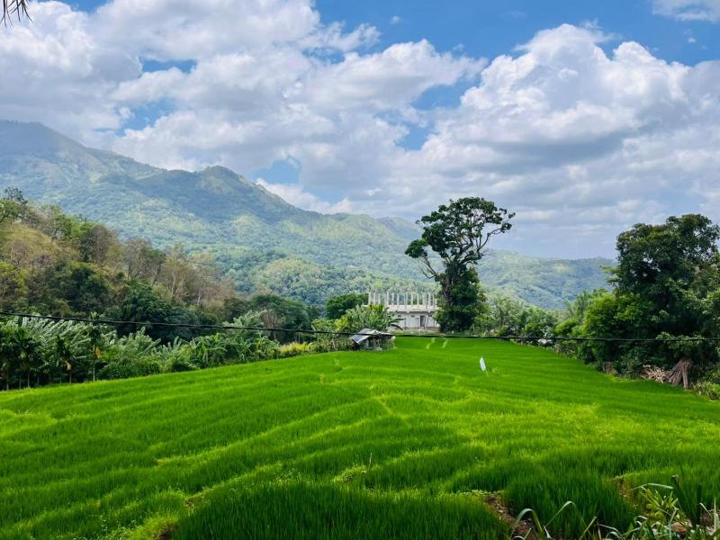 Wow Field Homestay - image 7